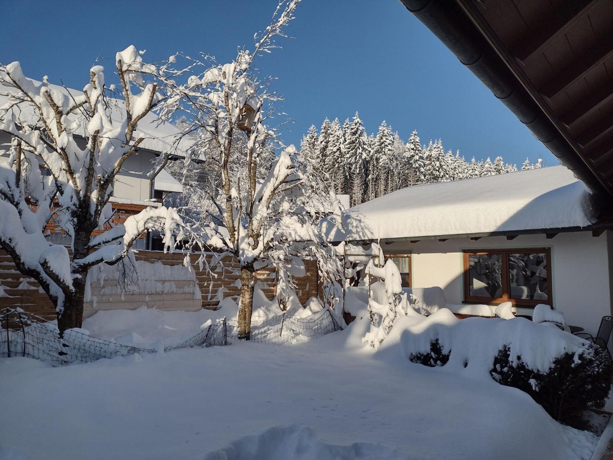 Cosy Holiday Home With Sauna In The Allg U Burggen المظهر الخارجي الصورة